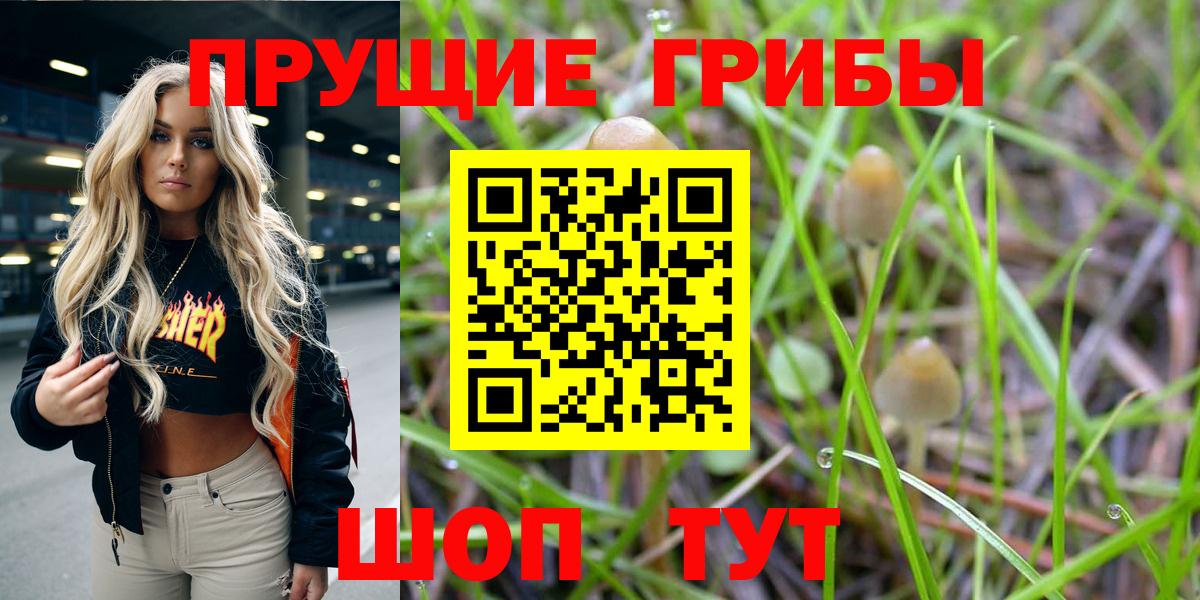 Комсомольск-на-Амуре  Галлюциногенные грибы прущие грибы  Вход с VPN 